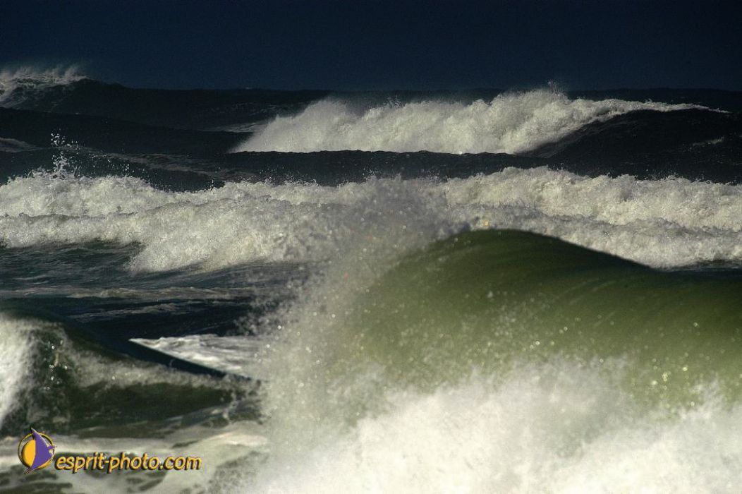 Nom de l'image : EP08-0364_(c)Norbert-JUNG — Description :